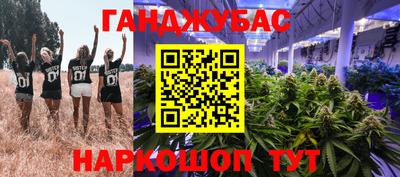 таблы Будённовск
