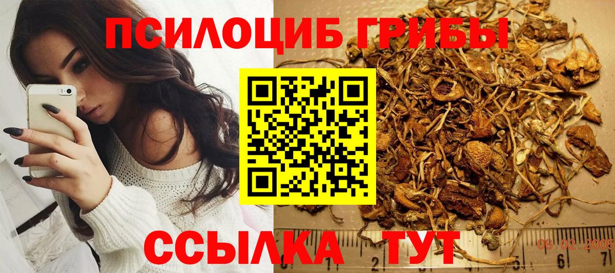 где можно купить наркотик  Вход с VPN  Армавир  Галлюциногенные грибы Psilocybine cubensis  Псилоцибиновые грибы мухоморы 